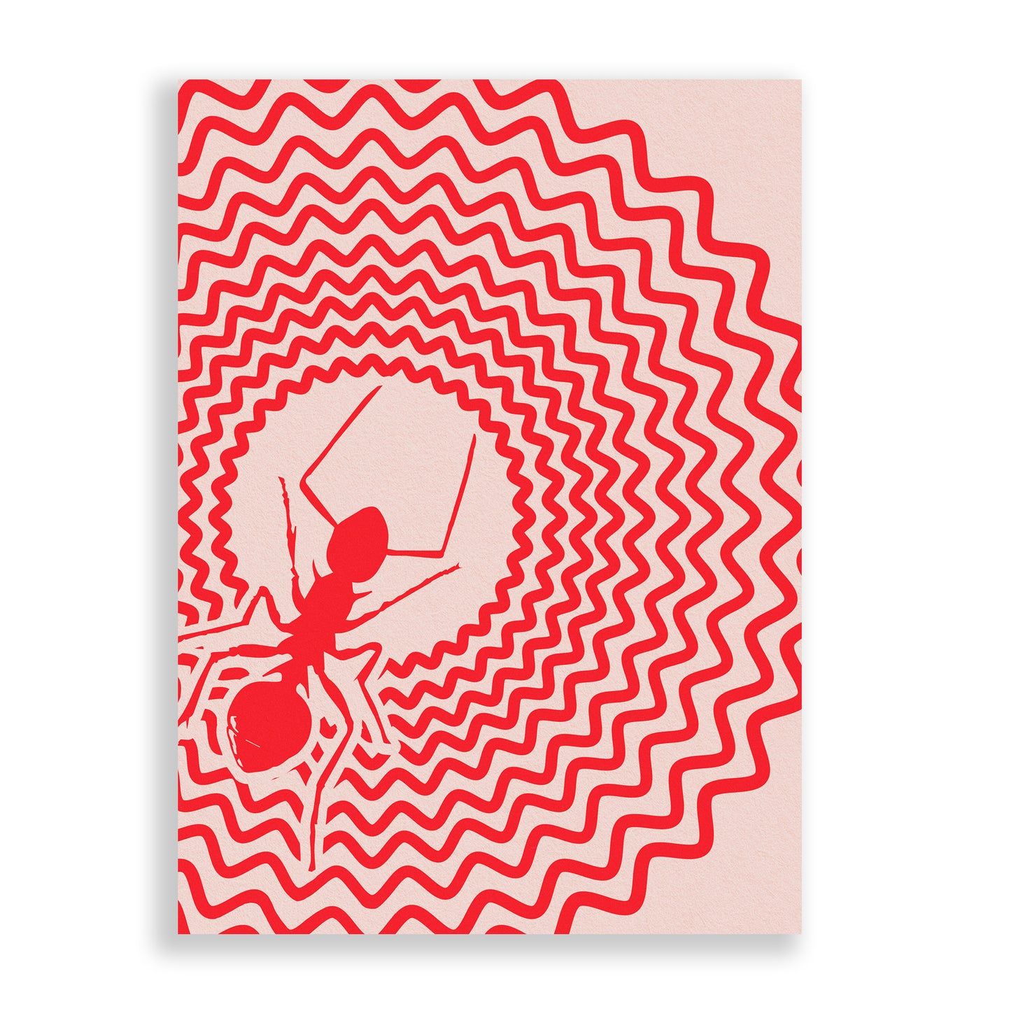 Ants and Some Other Insects