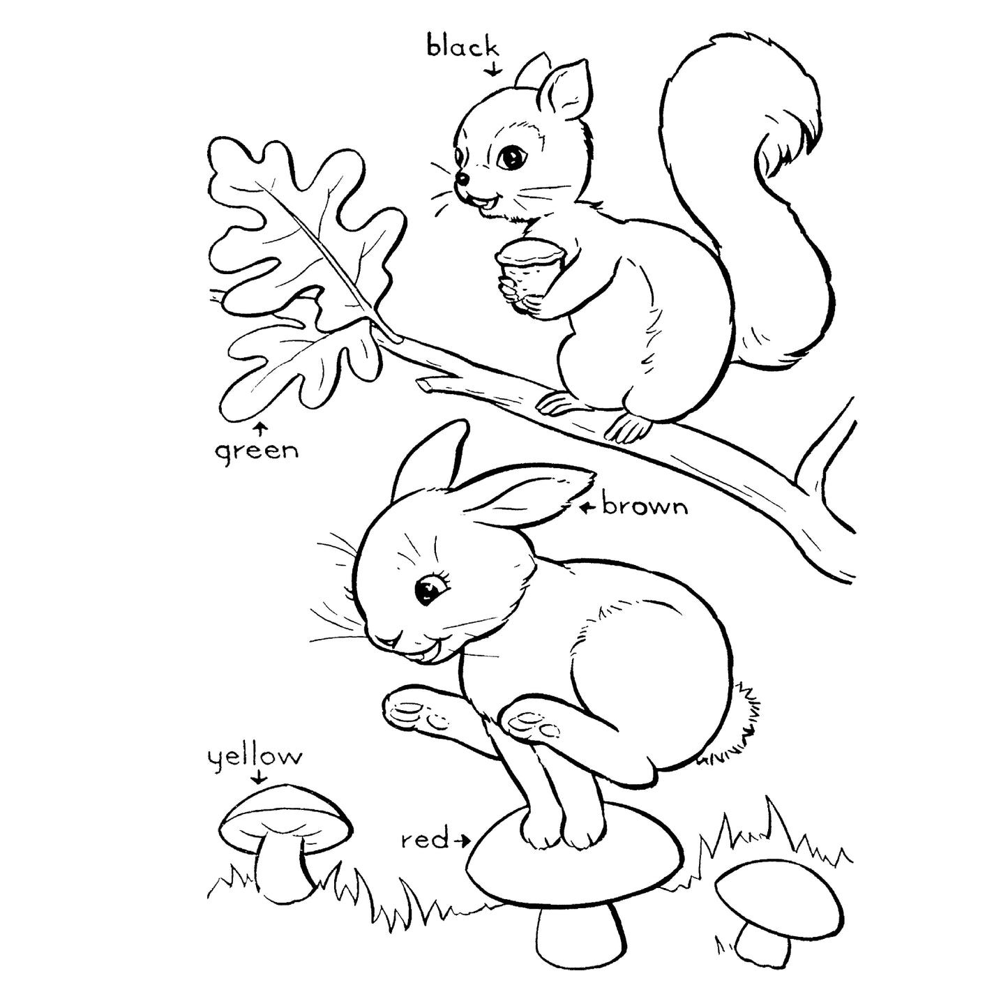 The Blue Bonnet Paint Book