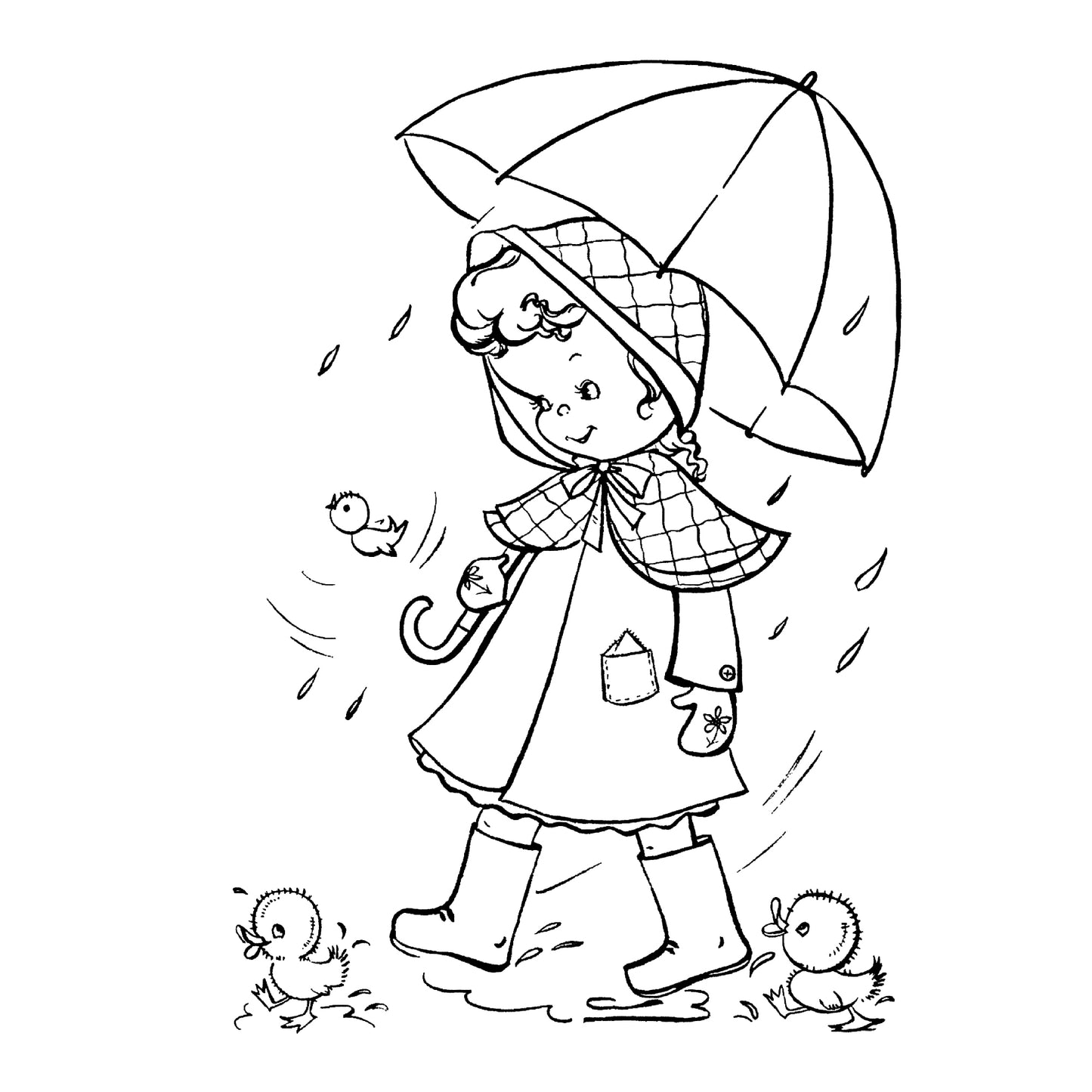 The Blue Bonnet Paint Book