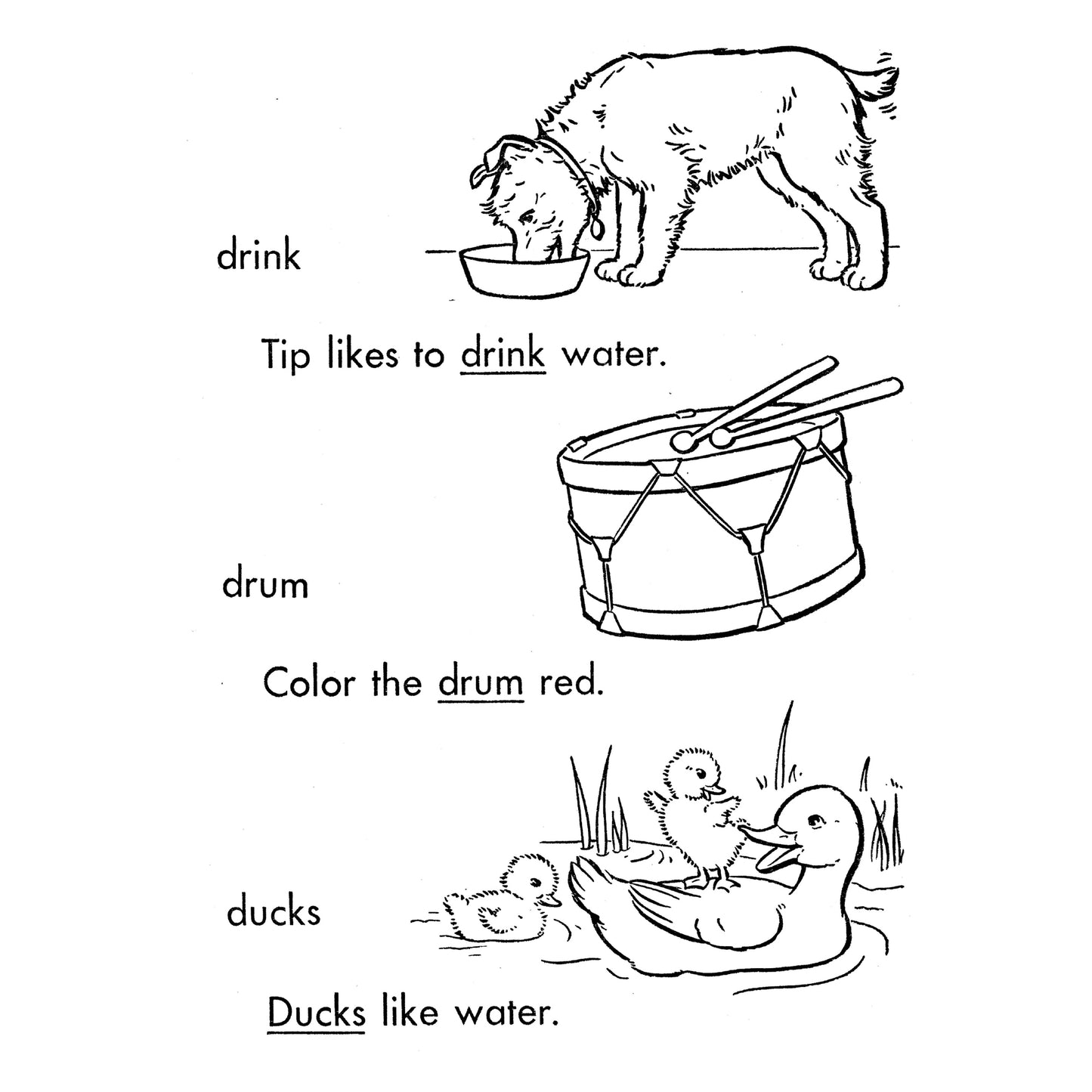 My Coloring Word Dictionary