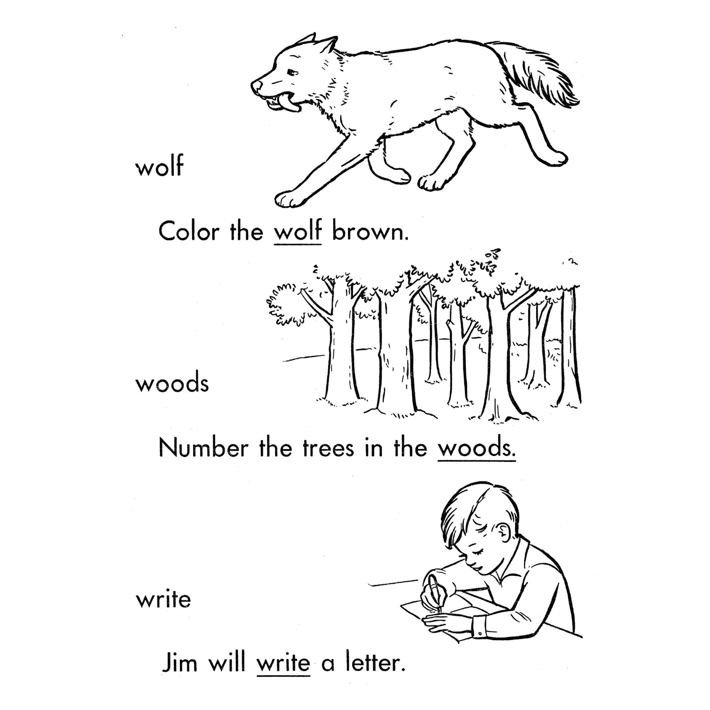 My Coloring Word Dictionary