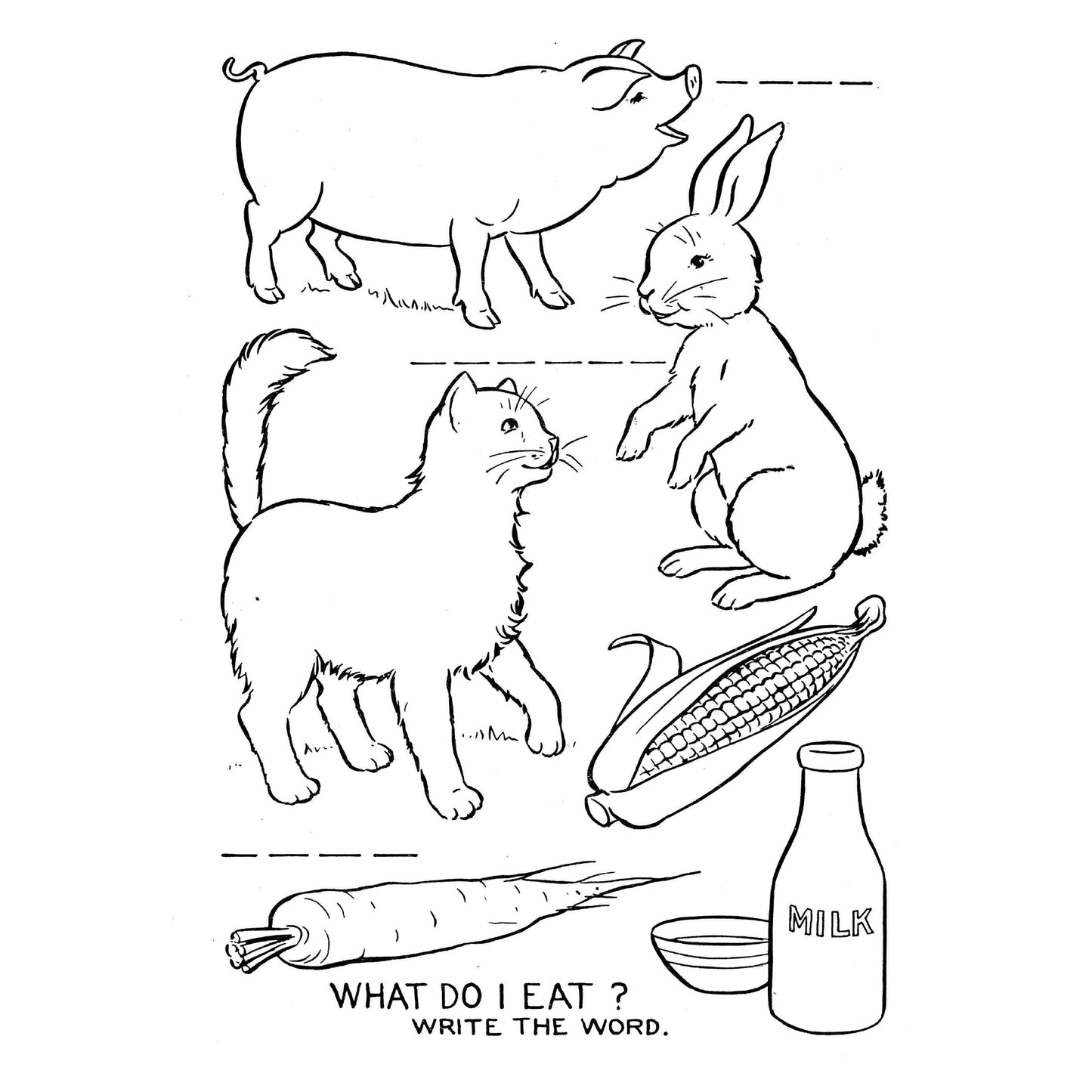 Peter Cottontail Paints His Friends