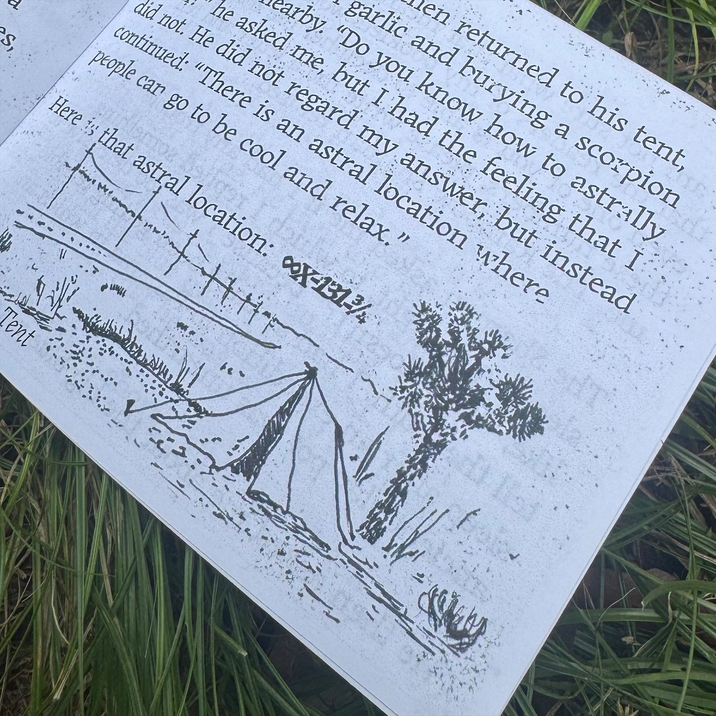 The Revelations of the Rainbow Shaman and His Dog by George Gouf